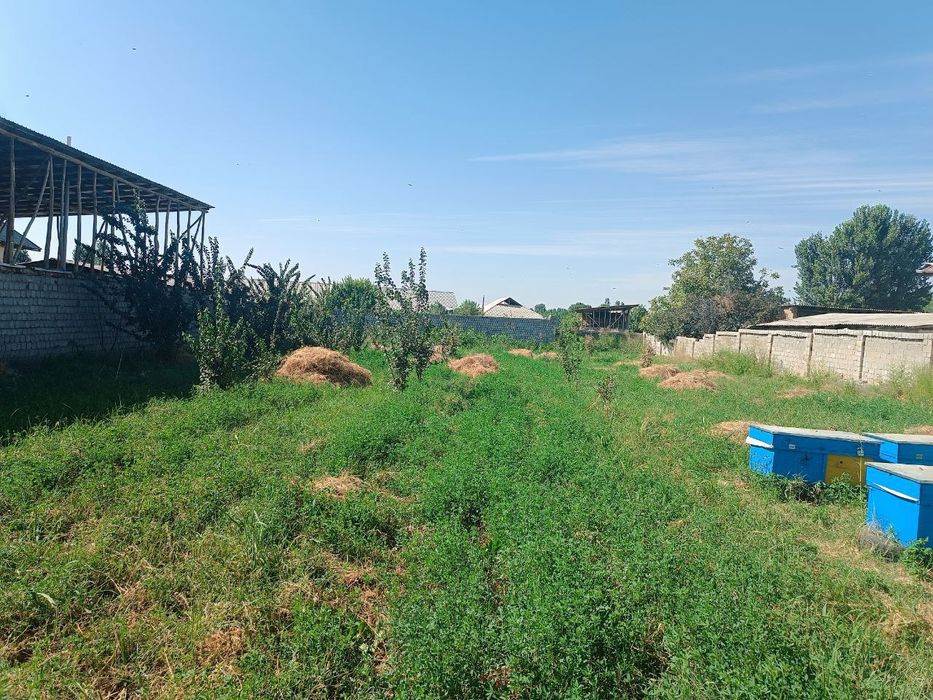 Yangiyoʻlda Uy hovli