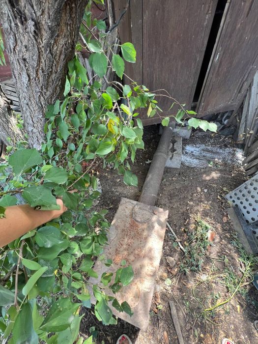 Коптильный шкаф коптильня