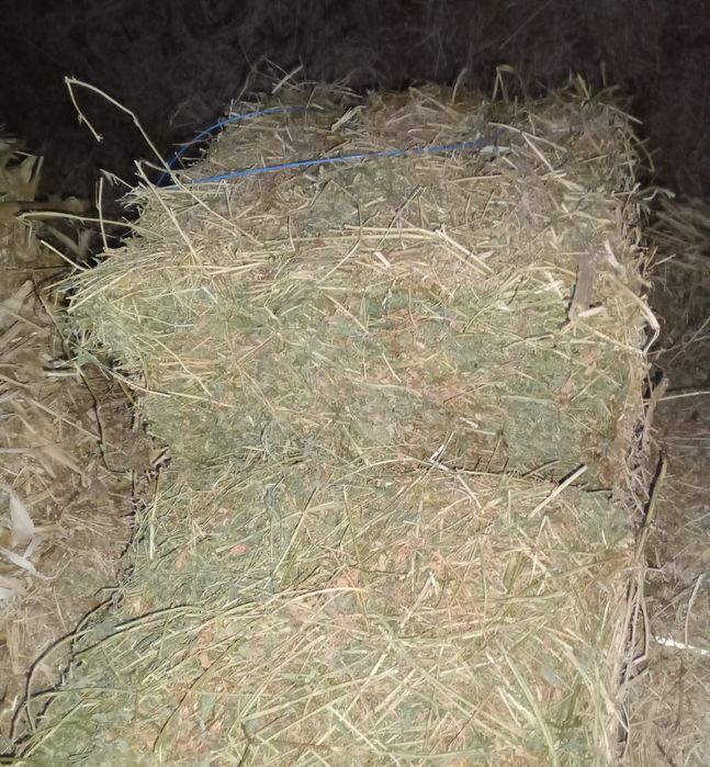 Бали люцерна, сено , слама