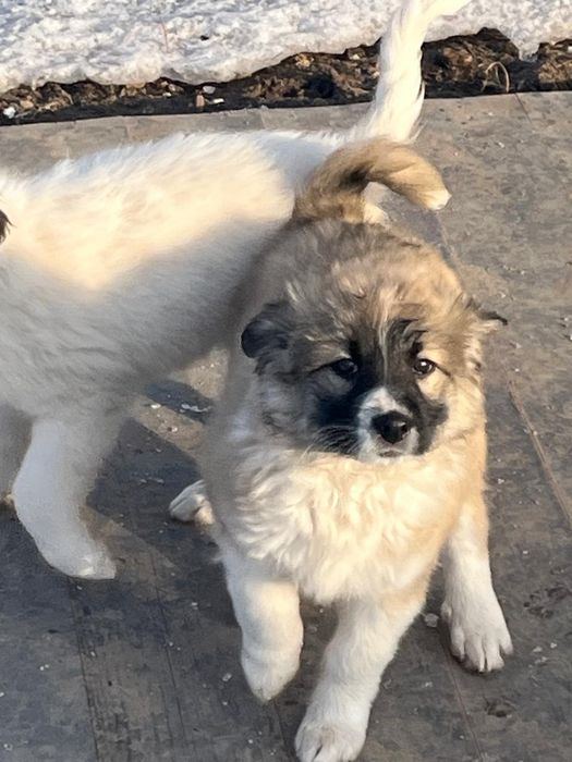 Помогите пожалуйста дом найти