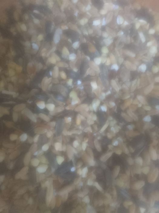 ОТХОДЫ Полова россыпью корма отруби