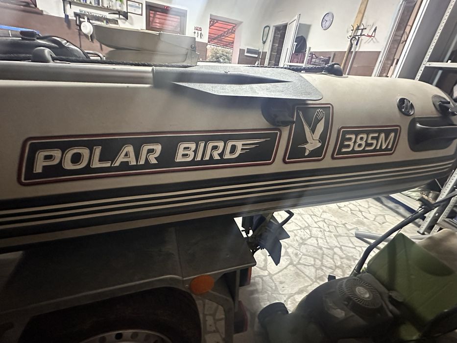 Лодка Polar Bird 385