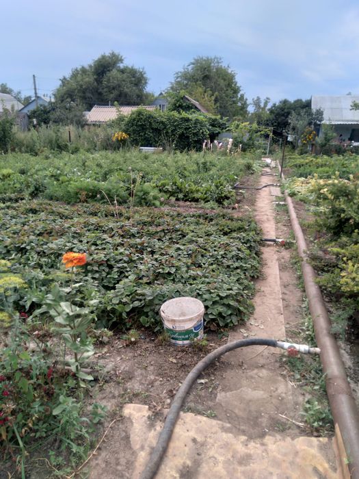 Продам дачный участок