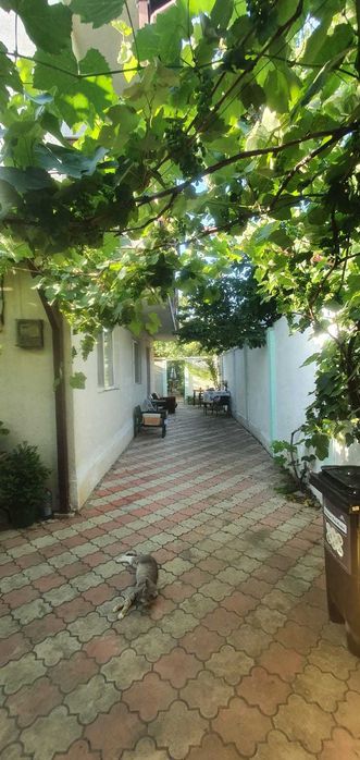 Costinesti 118 000 euro