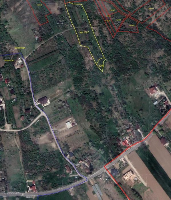 Teren Podgoria extravilan 1200 mp