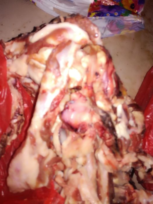 Говяжие кости собакам