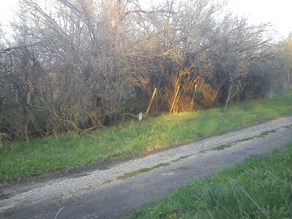 Продава се Парцел в Велико Търново, Бузлуджа - 500 кв.м за 15 €/кв.м - Снимка #3