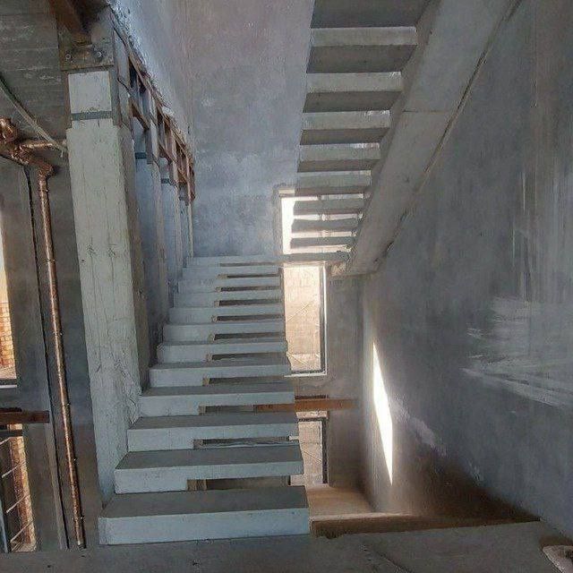 Зина леснитца (beton zina)