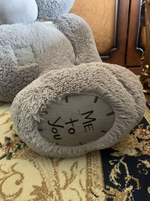 Teddy teddi ayiq