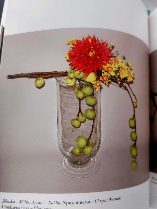 Икебана- Рима Мирска