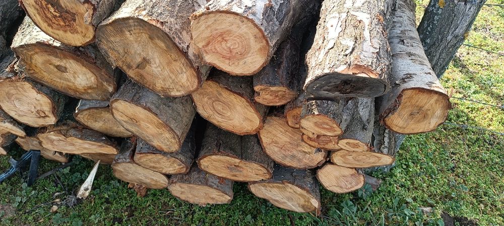 Дърва за огрев от Синя слива