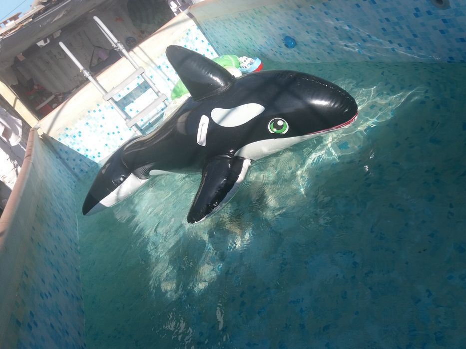 надувной круг касатка