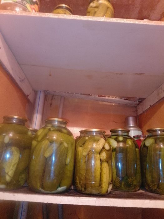 Продам солёные огурцы и помидоры