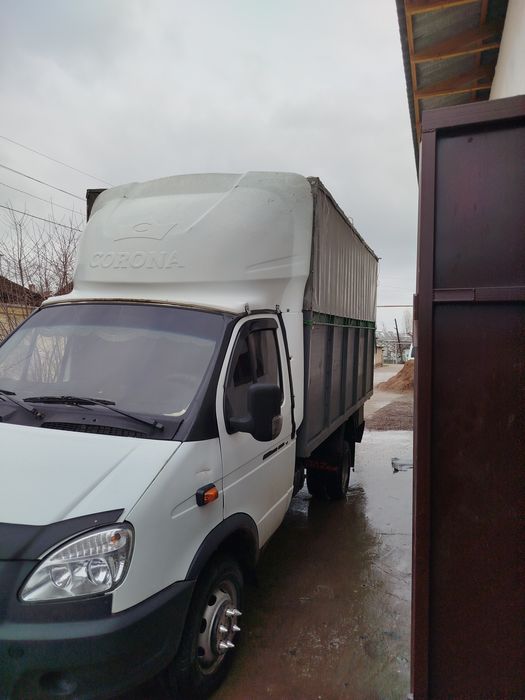 Bort gazel tent taxta