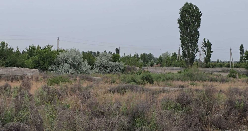 СВОЯ Земля 1.46 га п.Зилха, Алтыарыкский р, Ферганская обл.