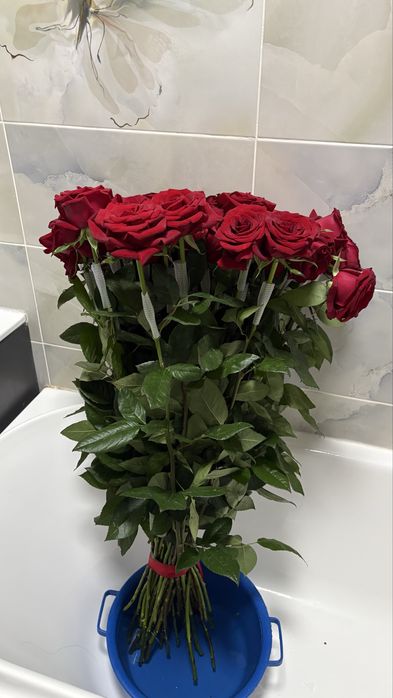 Свежий Роза 51 шт