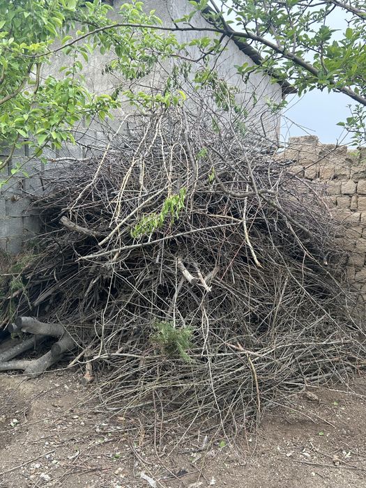 Ағаш отын көмір ағаш