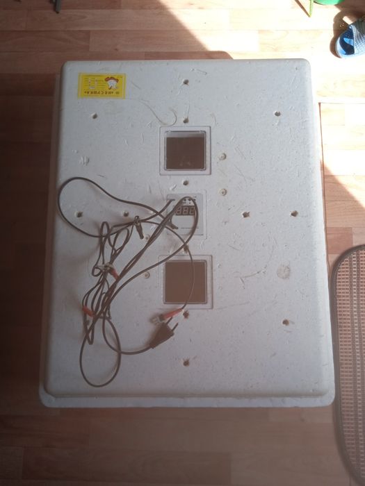 Инкубационные яйца. Инкубатор .