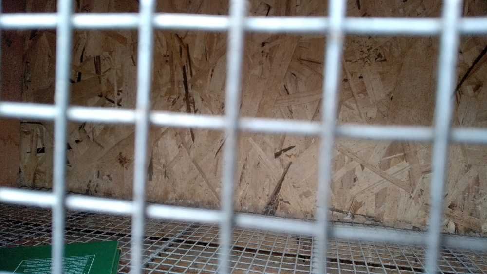 Брудер (жылытқыш аспап) / Брудер деревянный продам