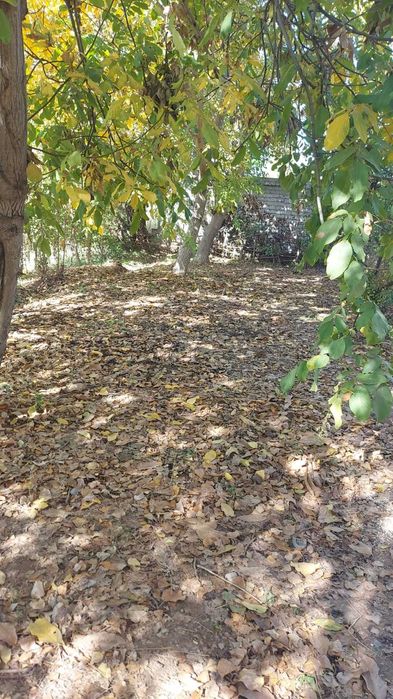 Хороший в городе  5 комнатный дом с участком 26 соток