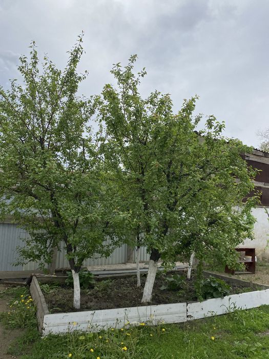 Дом в центре города