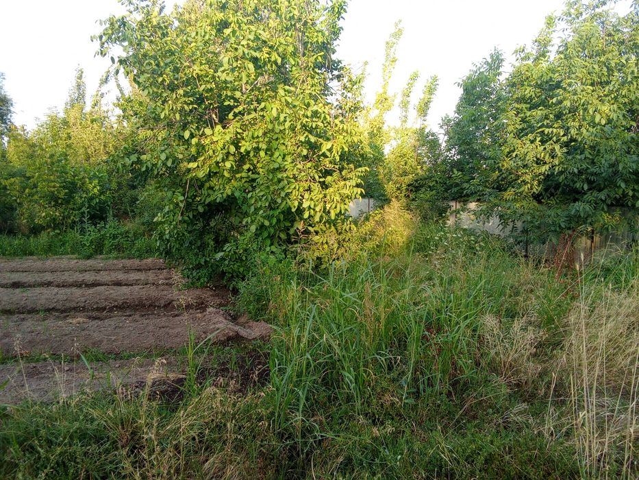 17.5sotix yer. Toshkent viloyati Boʻstonliq tumani Tovoqsoy qishloği.