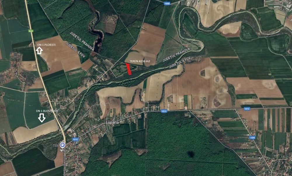 Vand teren intravilan Ciolpani-Luparia Ilfov 4236 m2 padure si raul Ia