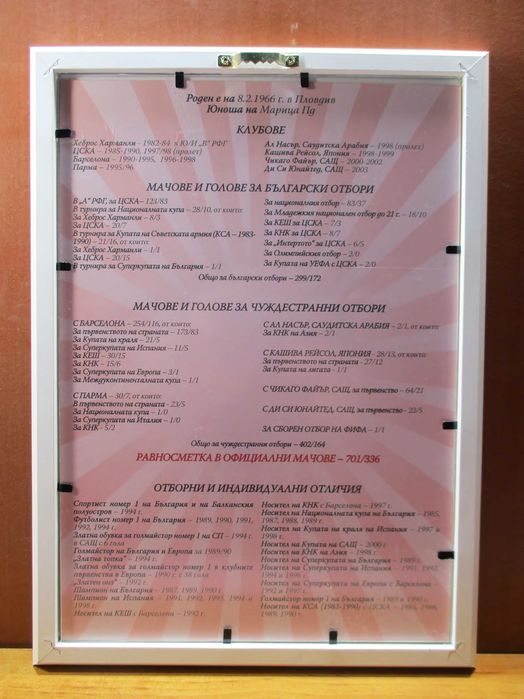 Картина на Христо Стоичков