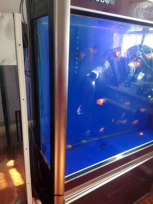 Аквариум 300литров