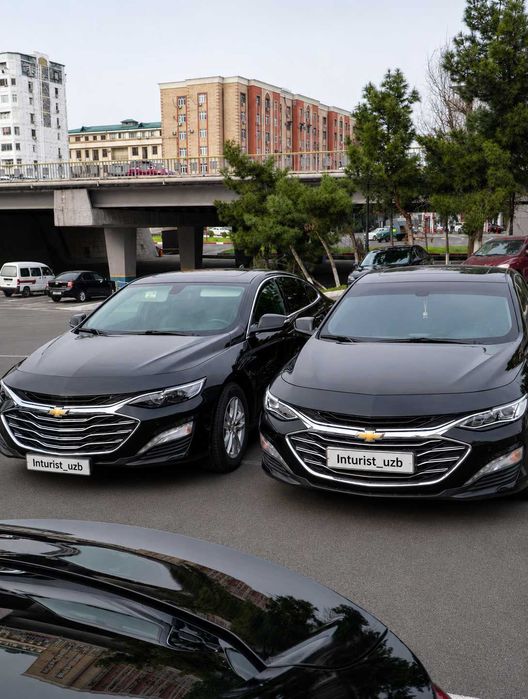 Chevrolet Malibu 2 haydovchi bilan| Transfer| Individual safarlar