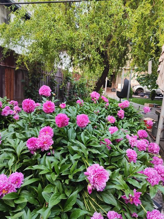 Продам часть дома