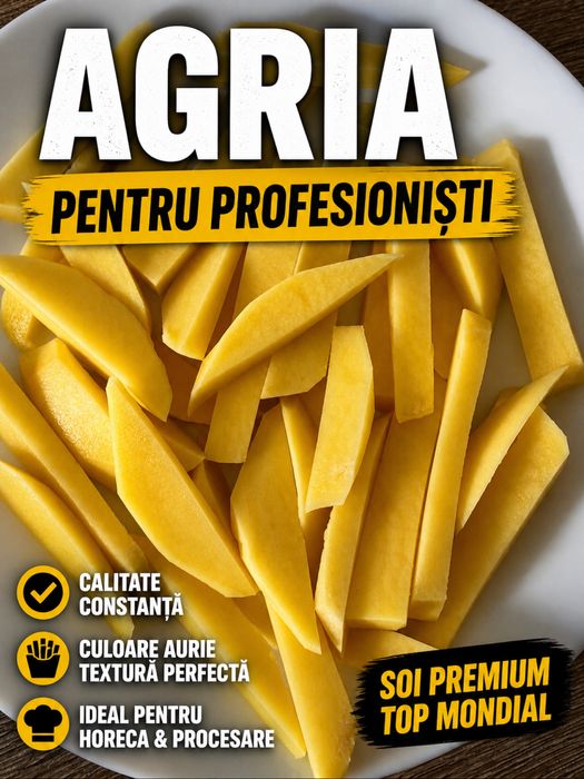 Cartofi AGRIA Premium 25 kg Big Bag Stoc Disponibil Horeca