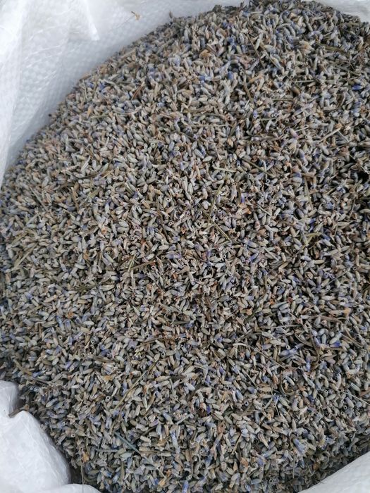 Vând floare de lavandă uscată și buchete uscate