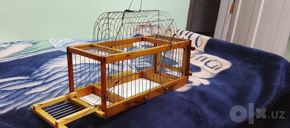 Западок для ловли птиц, Ловушка певчих лесных птиц.