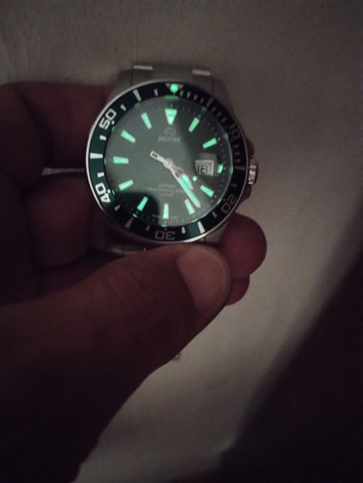 Jaguar executive diver