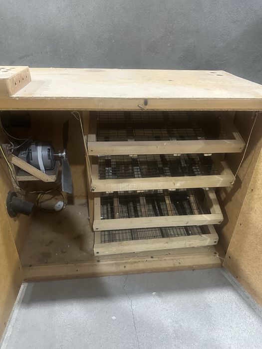 Инкубатор сотилади холати яхши