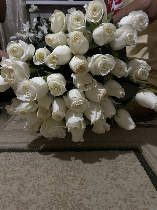 Срочно сатылады 51 роза