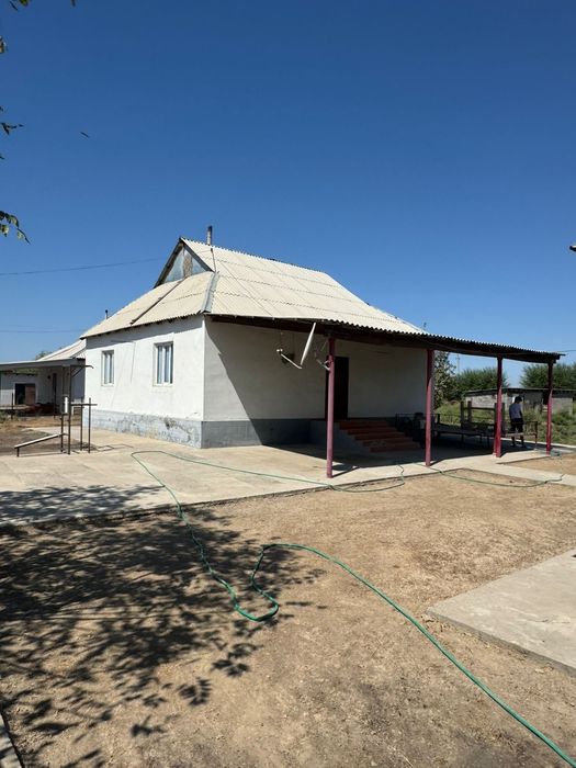 Хатшы желіде үстелдің астын сорып жатыр