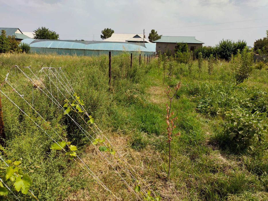 Участка сотилади. Намуна правда