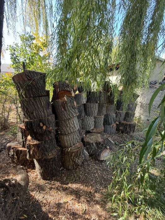 Продам дрова сухие