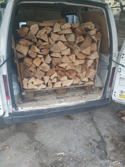 Vând lemn de foc esență tare stejar și fag uscat la palet. 0735 656 69