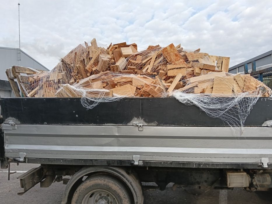 Deșeuri fag la plasa, 1 mc