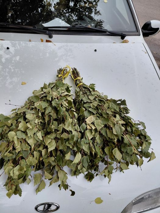 Продам веники и метёлки