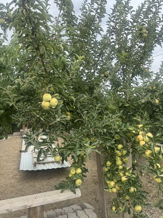 Продается дом, 8 участок