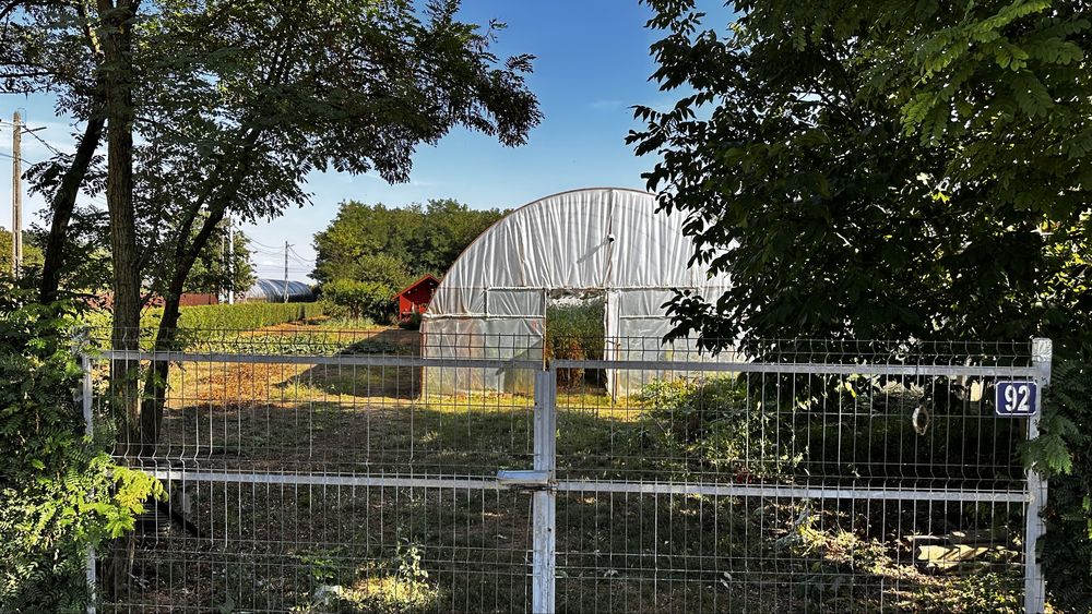 Se vinde loc de casa ( solar + livada pruni)