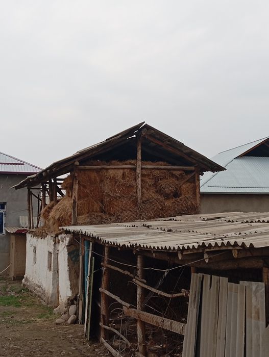 Somon pres kerak bolsa aloqaga chiqing
