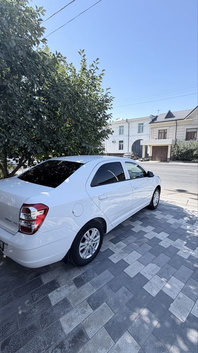 cobalt LTZ 2025 yil