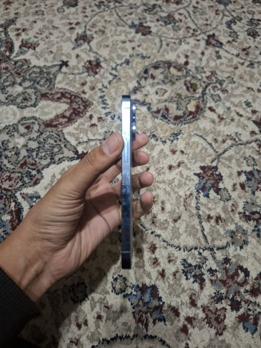 13 pro 256 talik
