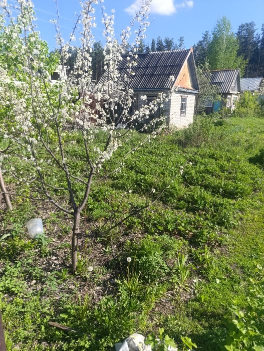Продам дачу мелиоратор 4сотки