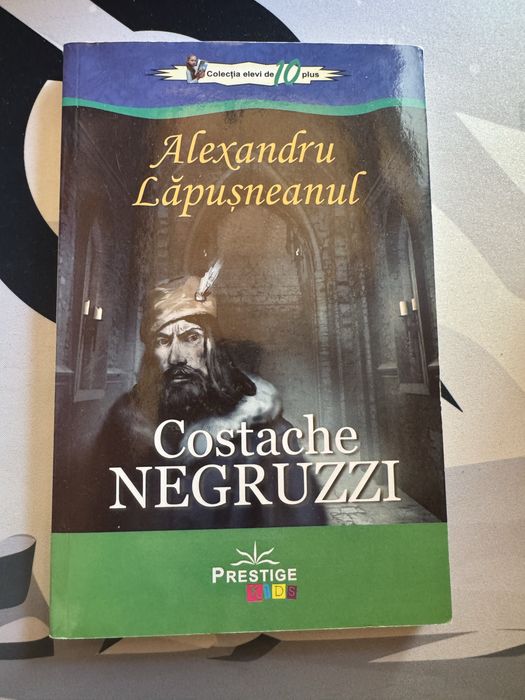 carti carte (romeo si julieta la medeleni, povestea fara sfarsit, Hotul de carti, Romanul adolescentului miop, poezii Mihai Eminescu si V Alecsandri)